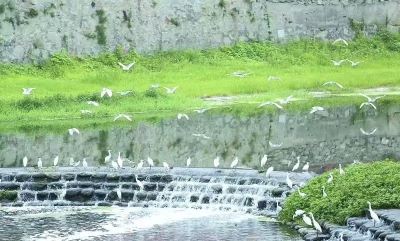 华夏浅水湾|醉美湾景生活，咫尺天然氧吧