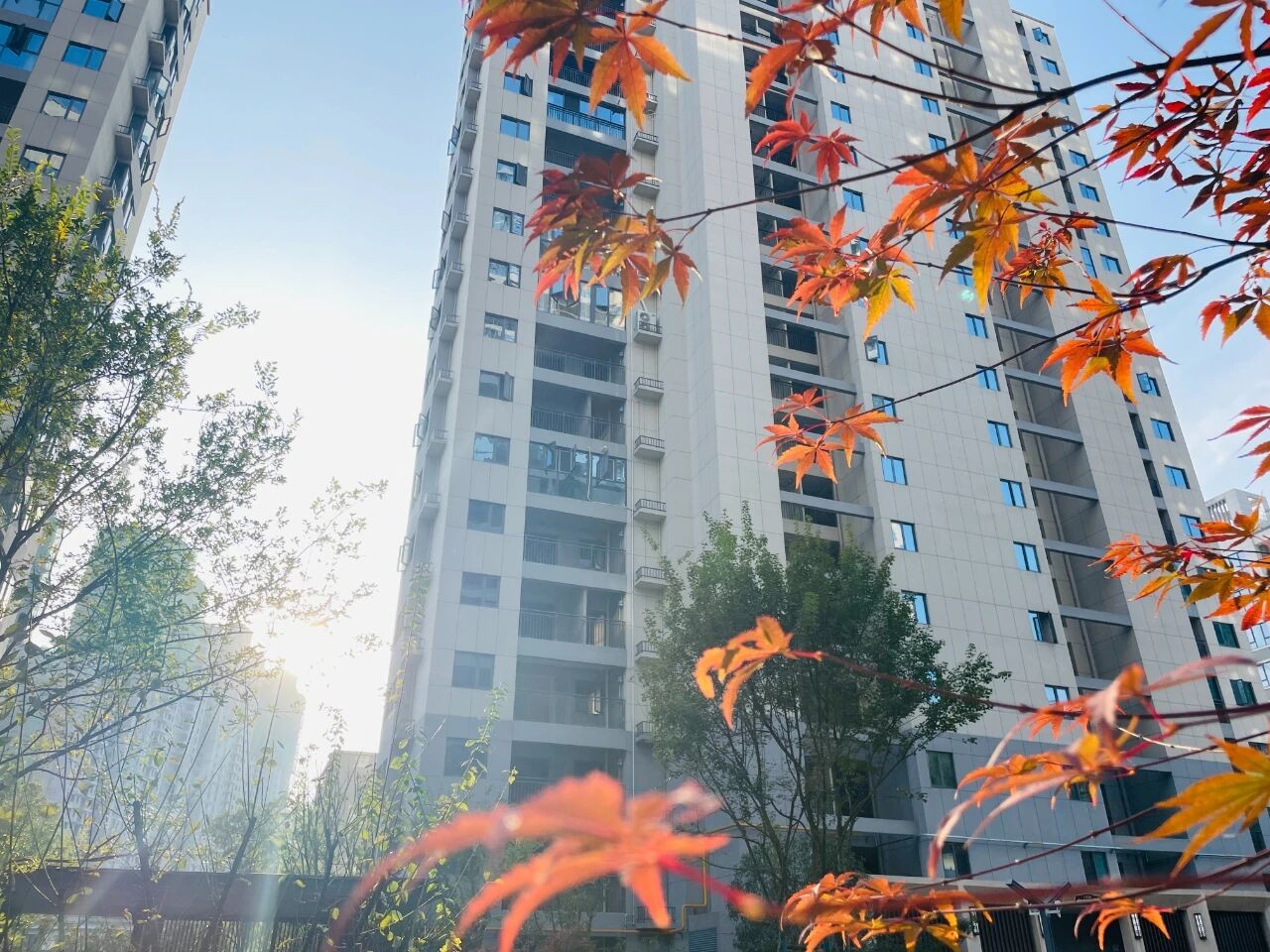 现房为王｜金龙尚景：四大理由诠释为何“买新房当买现房”，实景华宅5888元/㎡起