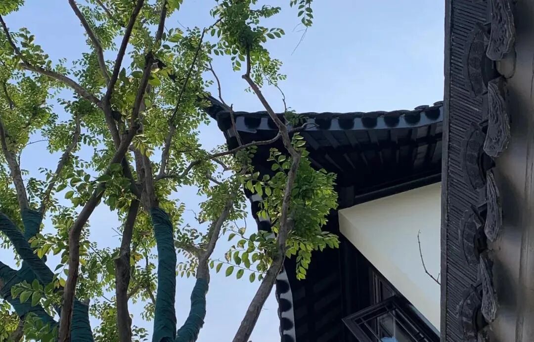 timg.jpg 图片