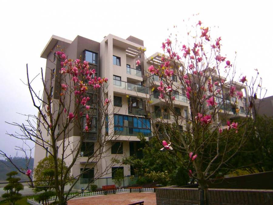 四方新城·铜雀台|踏景而来，花间拾忆香满怀