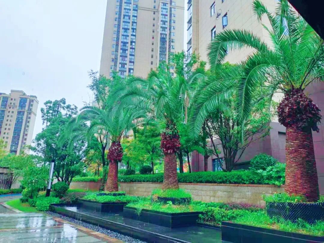 十堰城芯现房清盘：东正棕榈泉80%入住率88折特惠
