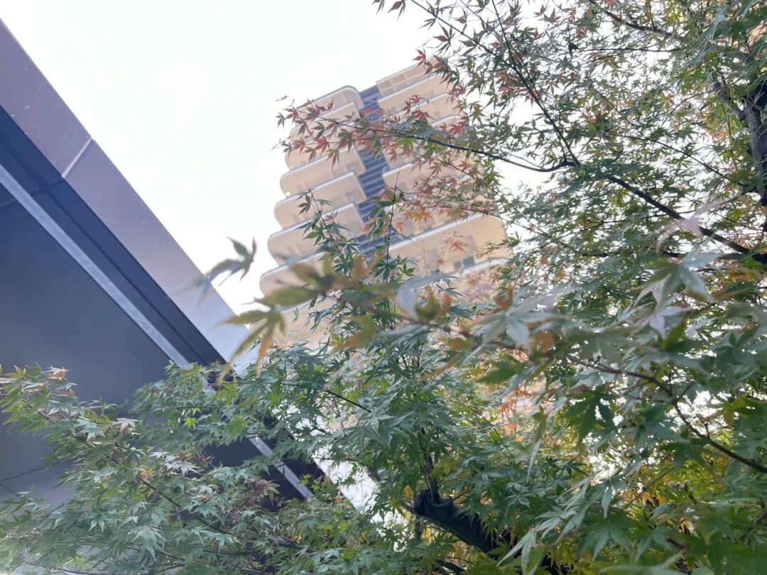 金秋钜献｜十堰首获“全国高品质住宅”三星认证！和瑞・雲著实景准现房清栋热销中