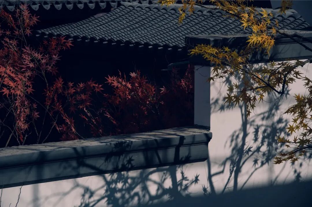 美好如澜，即将首开丨十堰绿城·明月观澜中式叠院,江南园林，尊享院落生活